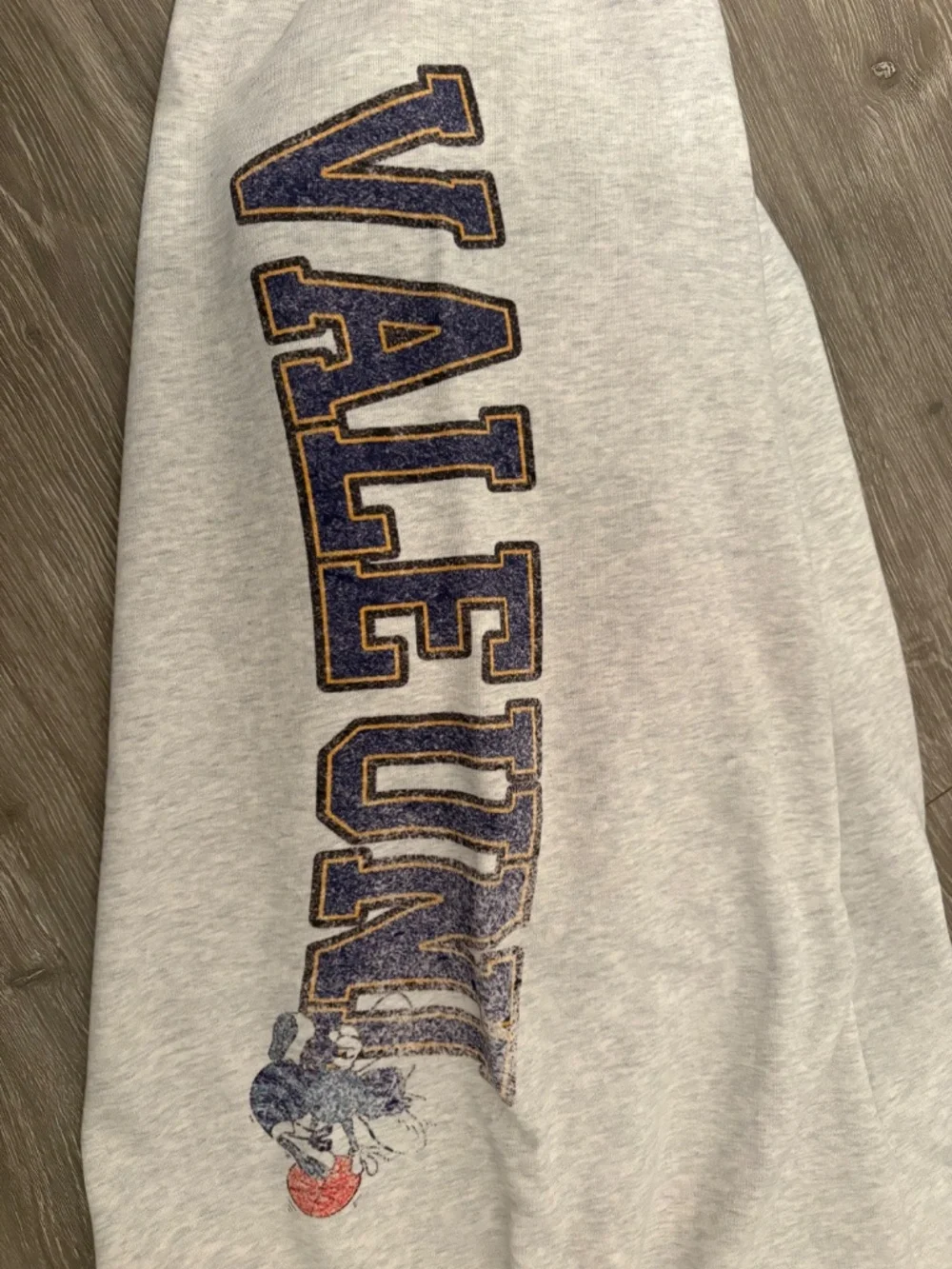 Valley forever VALE STAR GAME GRAY SWEATPANTS (Authentic)